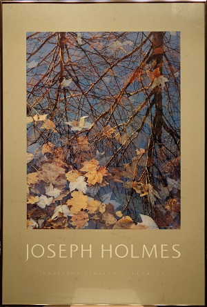 Picture of (Leaves) by Joseph Holmes with 1/4-inch bronze frame