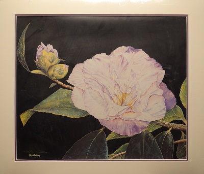 Unframed picture of Moonlight Bloom by James Redding
