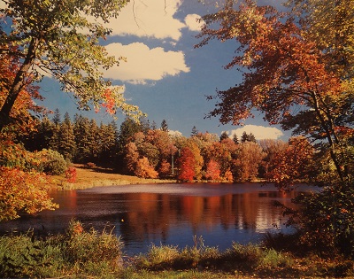 Unframed picture of (Autumn Lake) by unknown artist
