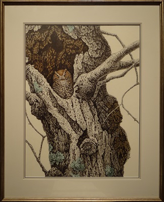 Picture of Screech Owl by Chris Forrest with 3/4-inch silver antique frame